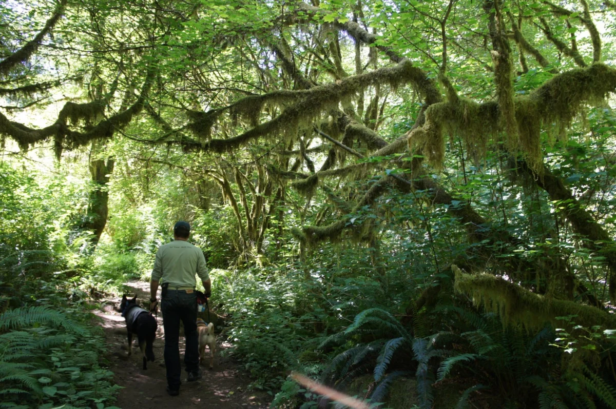Paws and Pathfinders: The Ultimate Guide to Avoiding Tourist Crowds with Your Pet