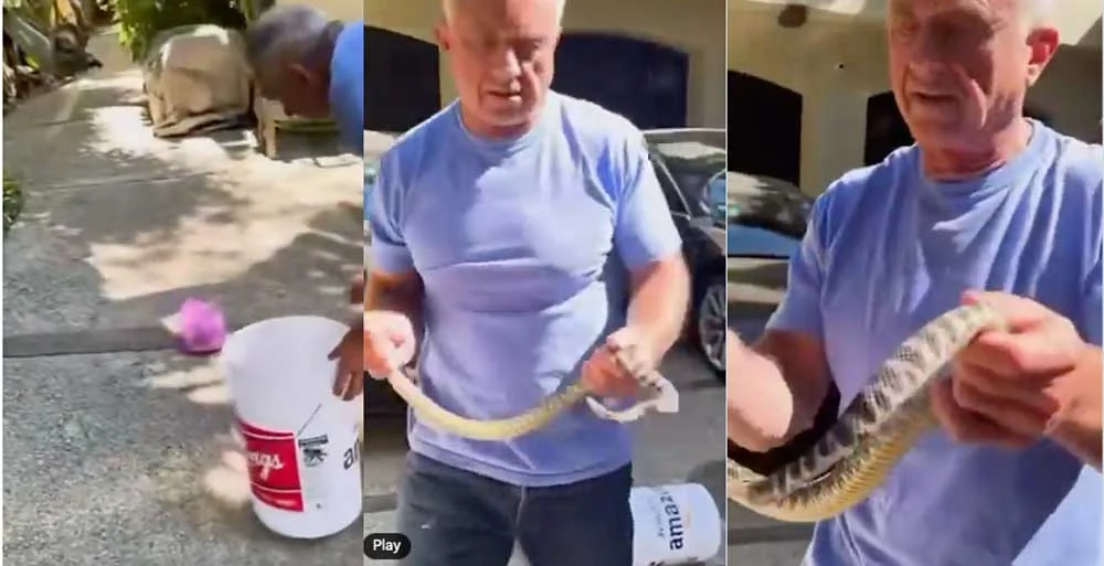 Rattlesnakes and Risk: HHS Secretary Robert F. Kennedy Jr.’s Viral Wildlife Encounters Spark Debate
