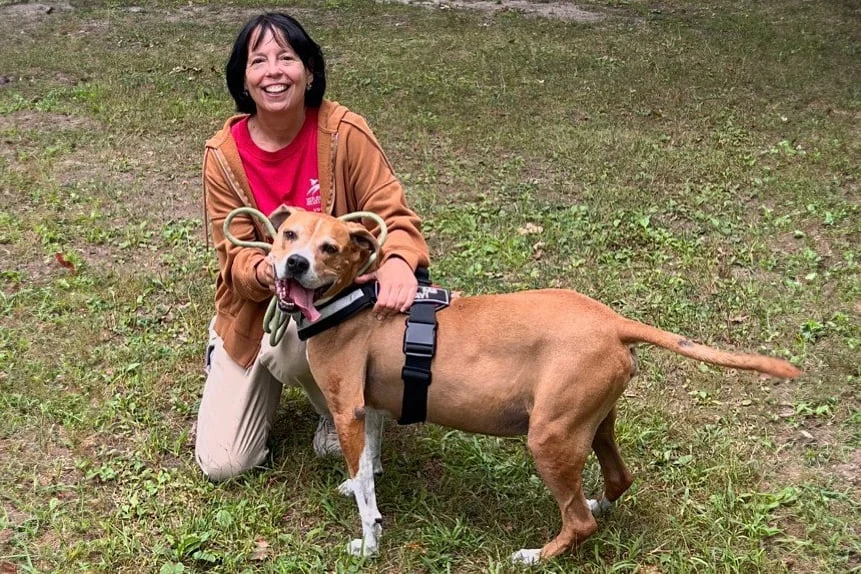 The Bridge to Forever: How One Volunteer’s Extraordinary Act Rewrote a Senior Dog’s Destiny