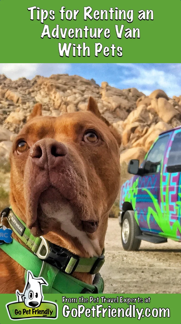 The Ultimate Guide to Renting an Adventure Van with Your Pets: A Journey into Mobile Living