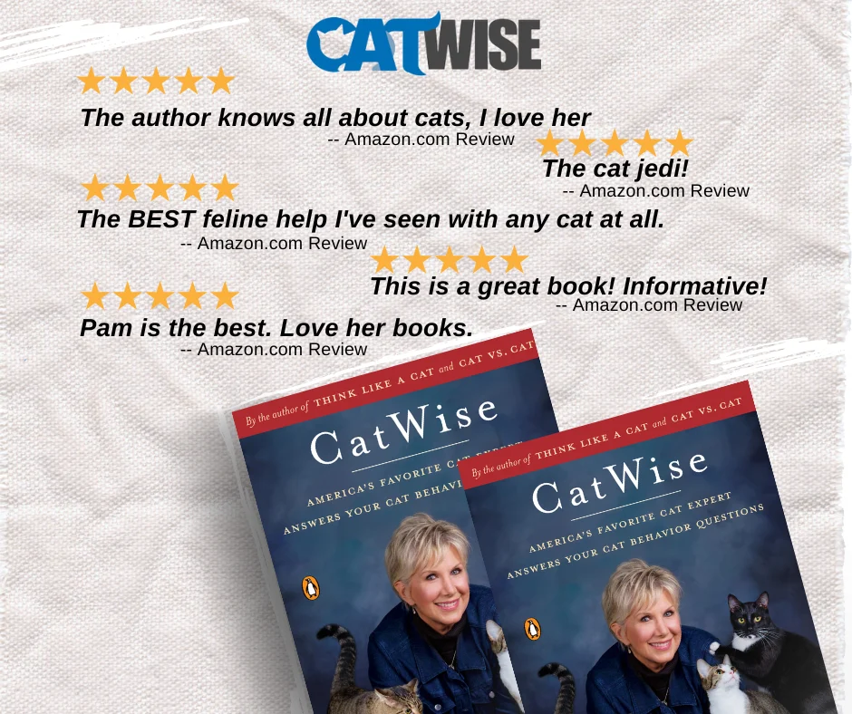 The Unseen Key to Feline Happiness: Why Interactive Play is Non-Negotiable for Your Cat