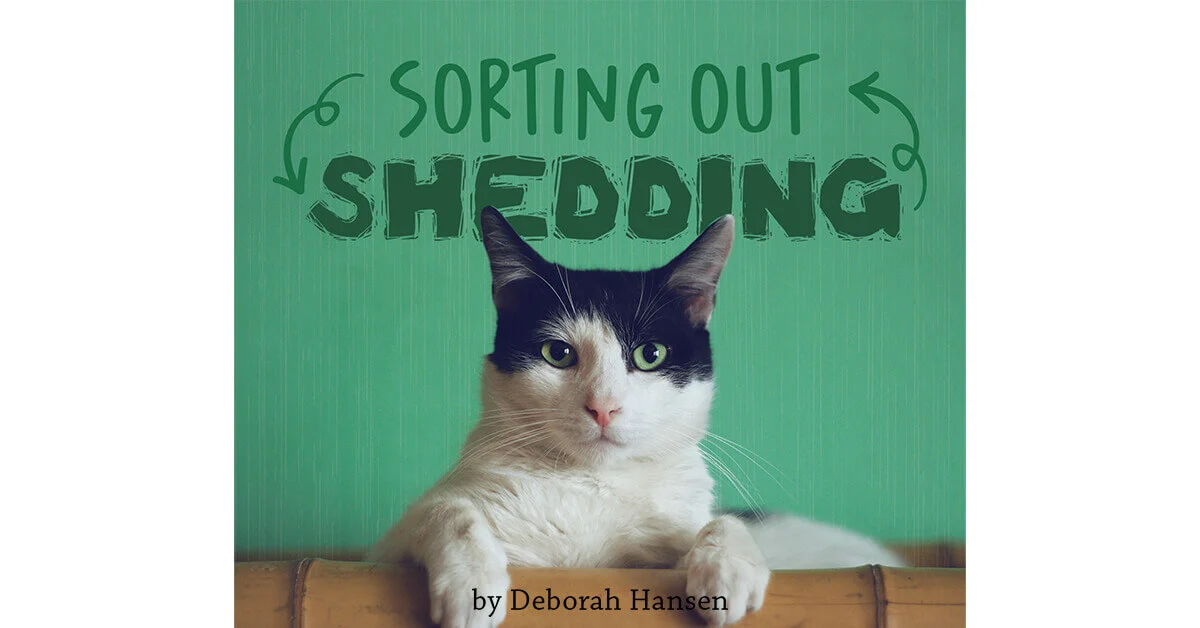 Beyond the Hairball: A Professional Groomer’s Guide to Feline Shedding Management
