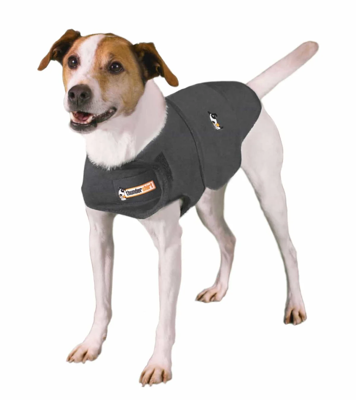 Navigating the Skies with Your Four-Legged Family: The Definitive Guide to Stress-Free Air Travel with Pets