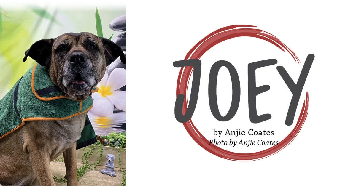 The Art of the Spa Day: A Deep Dive into Canine Wellness with Joey the Boerboel