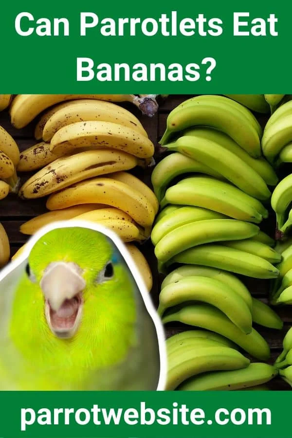 The Nutritional Impact of Bananas on Parrotlets: A Comprehensive Guide for Avian Owners