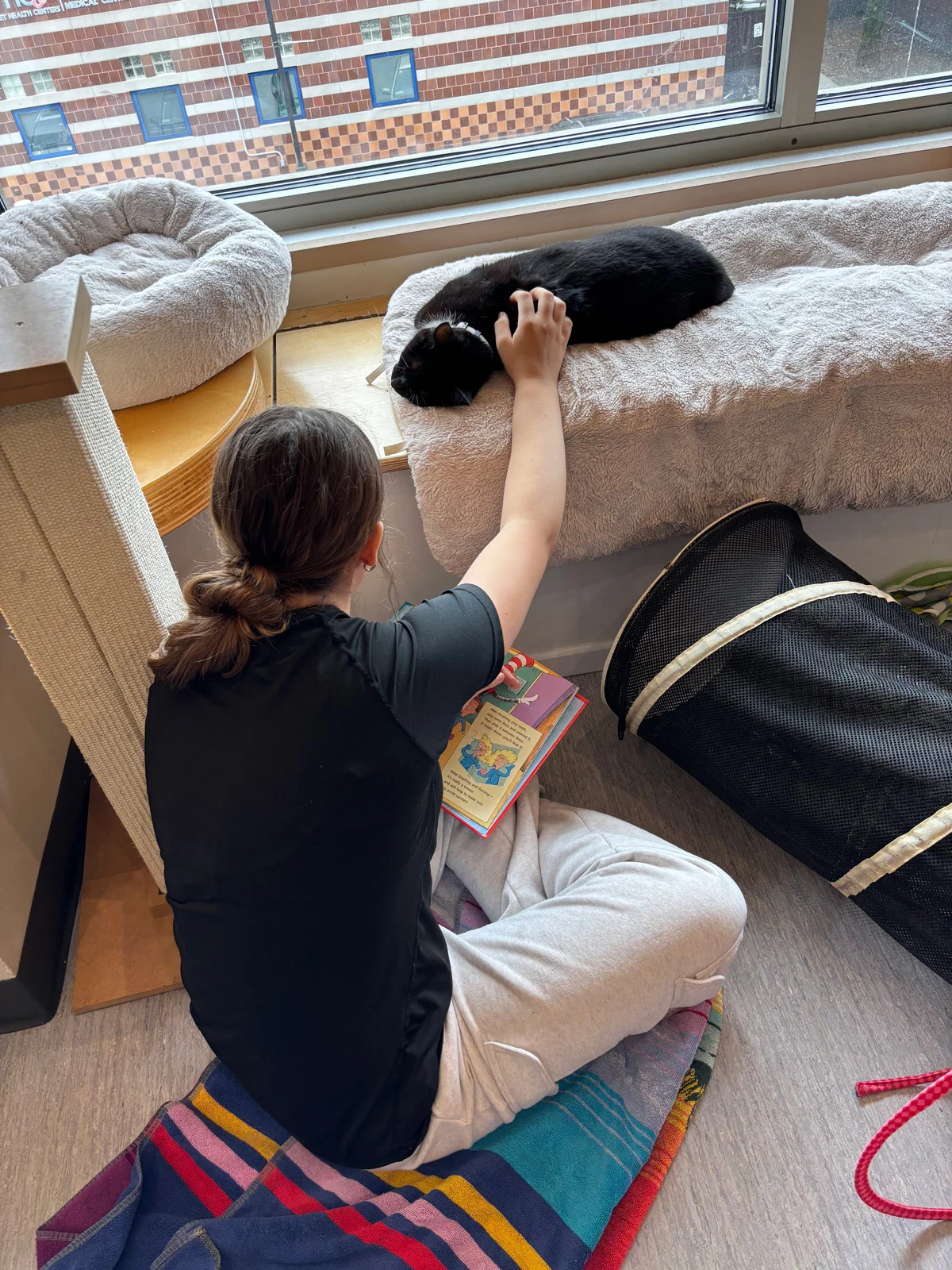 From Shelters to Storybooks: How Mutt-i-grees is Revolutionizing Literacy and Empathy